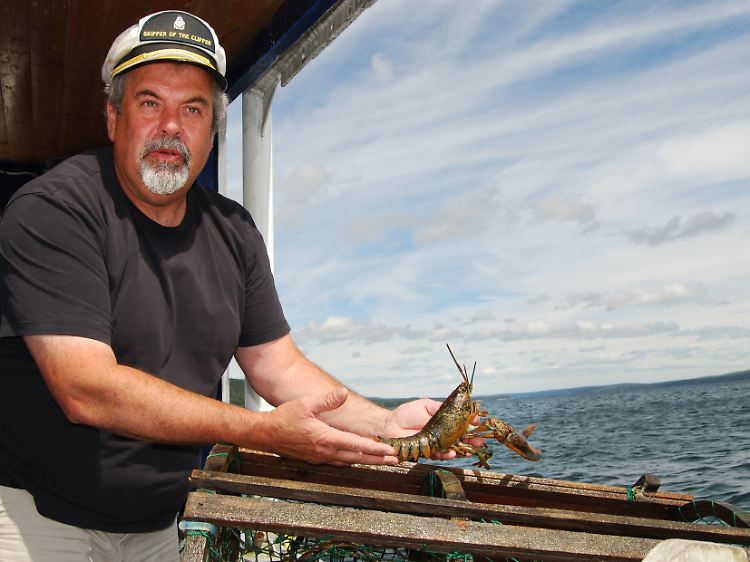Brian Plant weiß alles über Lobster - in den Sommermonaten fährt er jeden Tag raus auf den Bras d'Or Lake und zeigt Touristen, was in seinen Hummerfallen steckt.