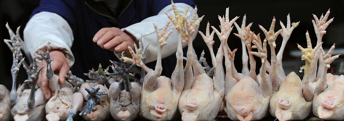 Zollschranken im Hühnchenmarkt: China errichten Hindernisse.