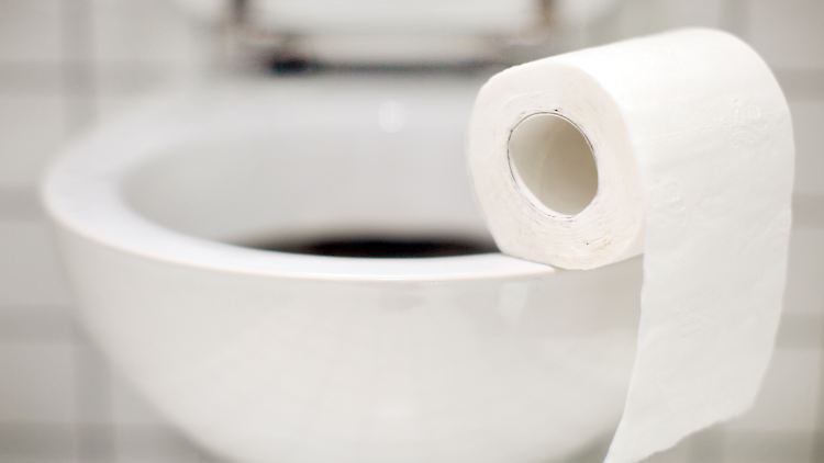 Eine Toilette im Haus ist für viele Menschen nicht selbstverständlich.