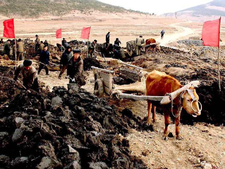 Bilder aus einer anderen Welt: Bauern in Nordkorea.
