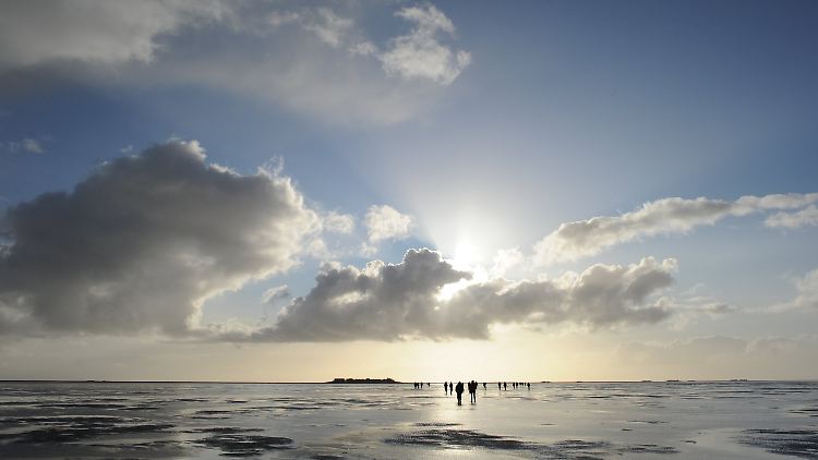 Himmel und Watt: bei den Wanderungen ...