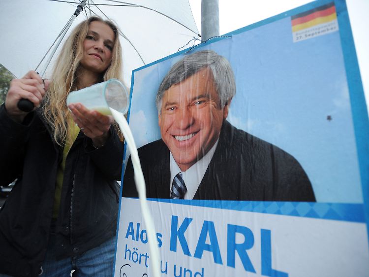 Das Plakat bleibt friedlich: Regine Lehmeier vor dem Konterfei des CSU-Bundestagsabgeordneten Alois Karl.