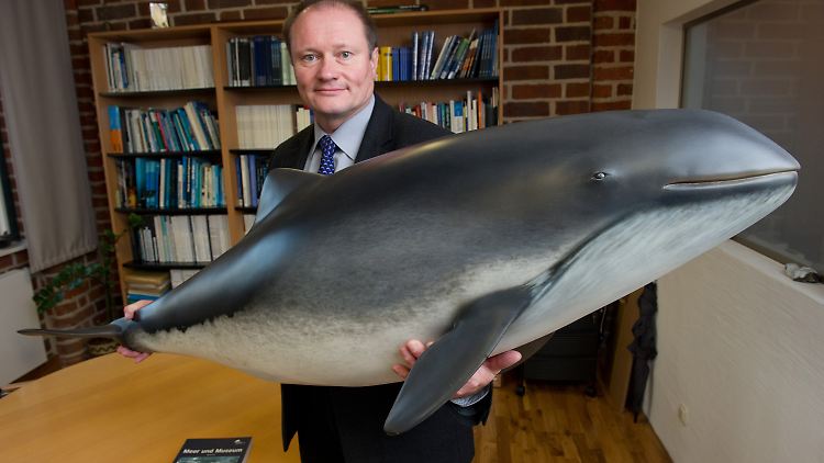 Der Direktor des Stralsunder Meeresmuseums, Harald Benke, fordert neue Schutzmaßnahmen.