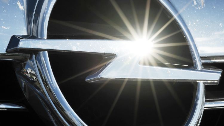 Der Bundesregierung weht ein heftiger Gegenwind bei der Rettung von Opel entgegen.