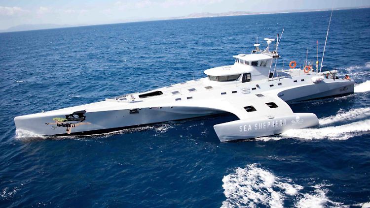 Der Trimaran "Brigitte Bardot" ist ein schnelles und modernes Verfolgerschiff.