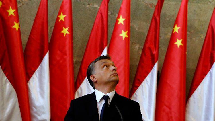 Hat offenbar ganz eigene Vorstellungen: Viktor Orban.