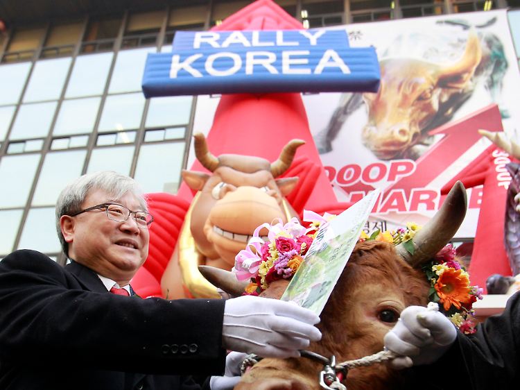 "Rally Korea": Mit einem echten Bullen illustriert der Vorsitzende des südkoreanischen Finanzdienstleisterverbands Kim Seok-dong (l.) die guten Vorsätze für 2012.