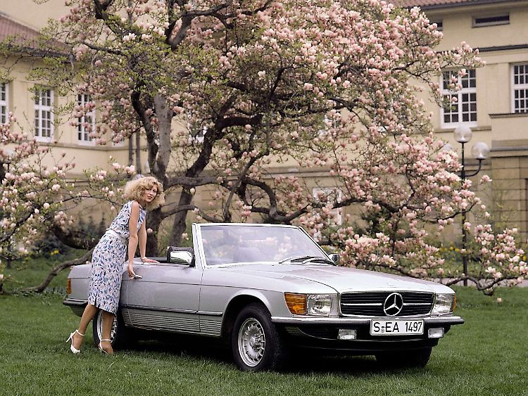 Blühende Bedingungen: Heute ist auch der Mercedes-Benz 380 SL, von 1980 bis 1985 gebaut, ein gesuchter Klassiker.
