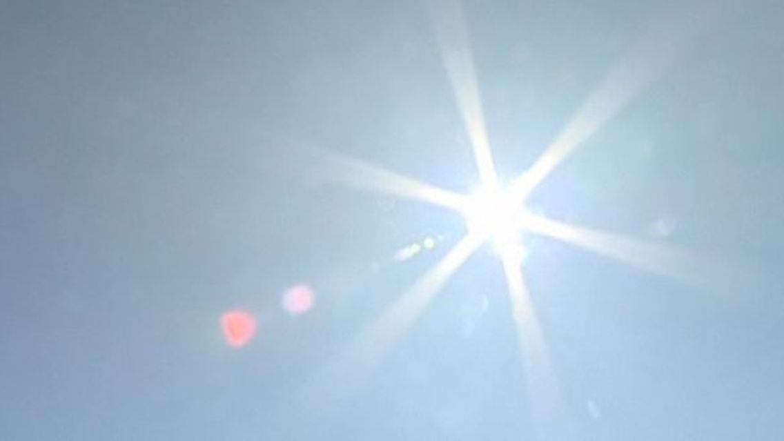 Solarbranche.jpg
