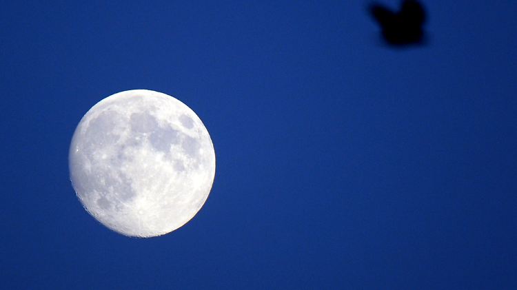 Auf dem Mond gibt es die gleichen Mineralien wie auf der Erde.