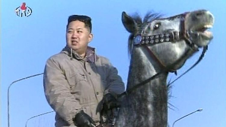 Omnipräsent: Kim Jong Un zu Pferde, ...