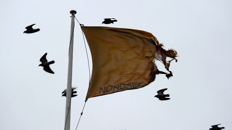 Viele Vögel sind auf der Suche nach neuen Lebensräumen.