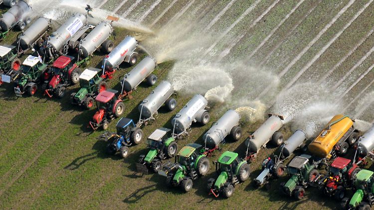 Überschuss: Erneut wurden, wie hier in Rosenheim, zahlreiche Felder mit Milch begossen.