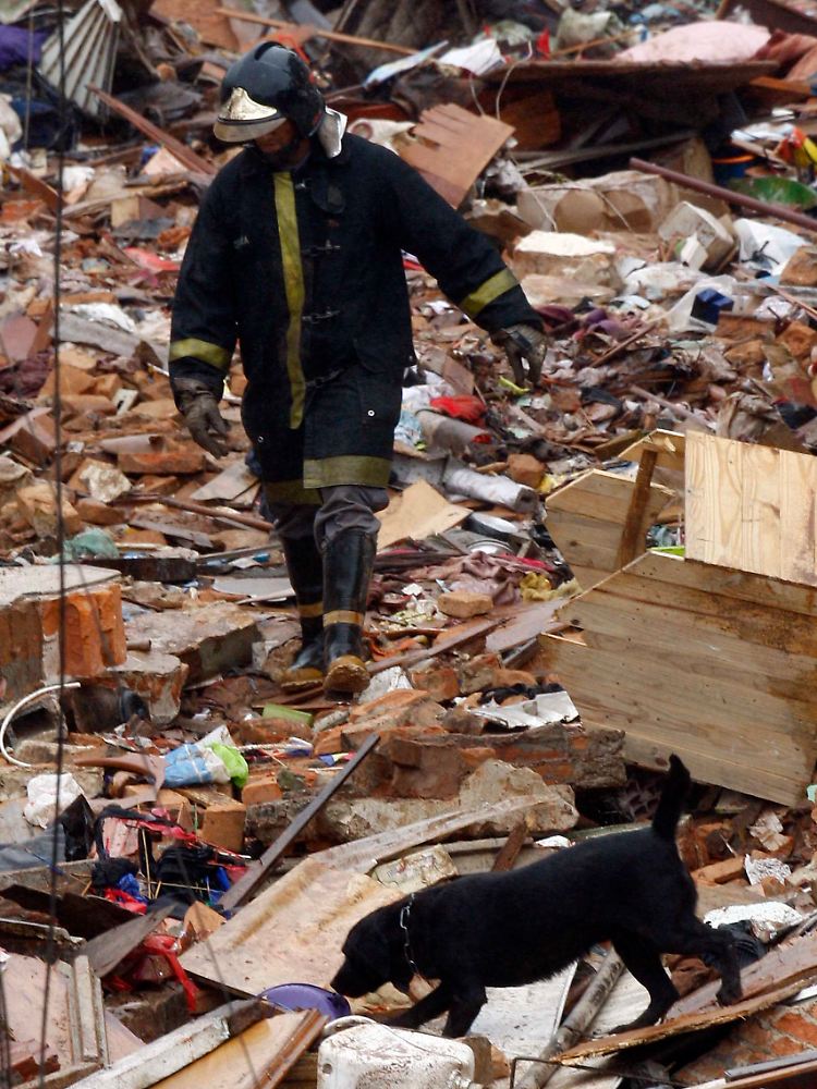 Ein Spürhund sucht in den Trümmern nach Überlebenden.