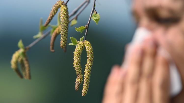 Obwohl der Frühling noch nicht richtig da ist, sind die Allergiker schon pollengeplagt. 