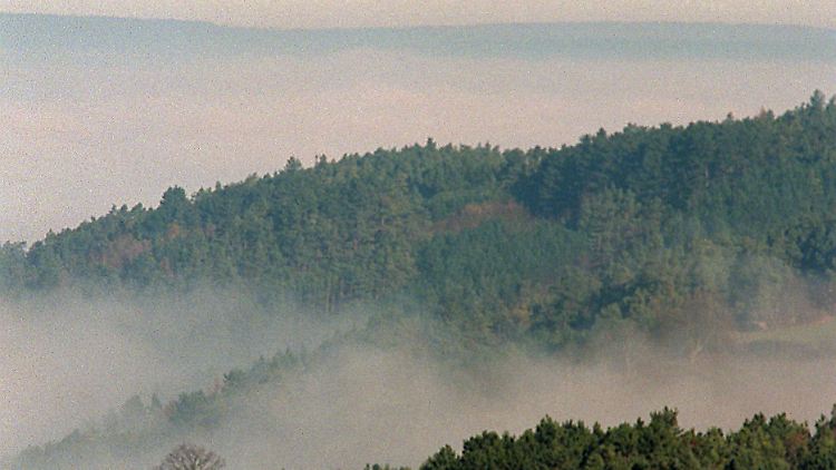 Nebel über dem Taubertal: der Panoramaweg Taubertal ist unter den ausgezeichneten Wanderwegen.