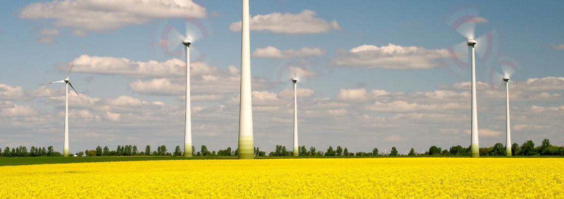 Die Branche der Erneuerbaren Energien findet das Herumdoktern am Fördersystem alles andere als förderlich.