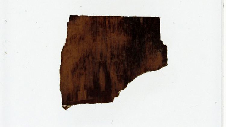 Das 40 Millionen Jahre alte fossile Stück Holz sammelte Darwin vermutlich auf der chilenischen Insel Chiloe im Jahr 1834.