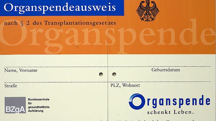 Organspendeausweise sind in vielen Arztpraxen und Apotheken erhältlich.