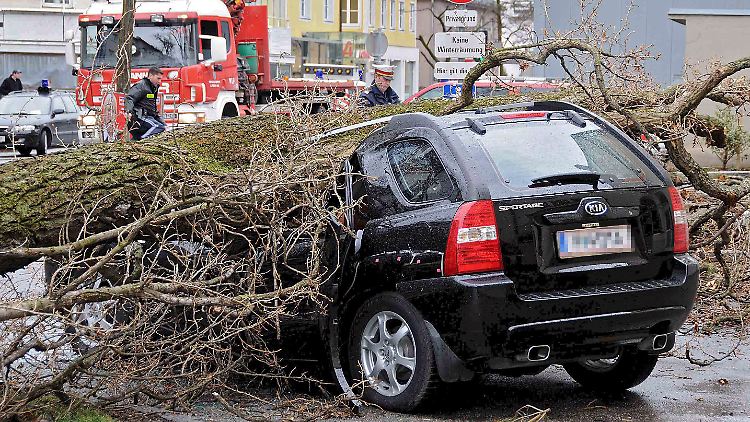 Au weia: Bei diesem Sturmopfer dürfte kaum etwas zu retten sein.