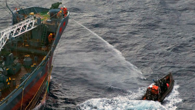 Ein von "Sea Shepherd" veröffentlichtes Fotos zeigt das Vorgehen der Walfänger.