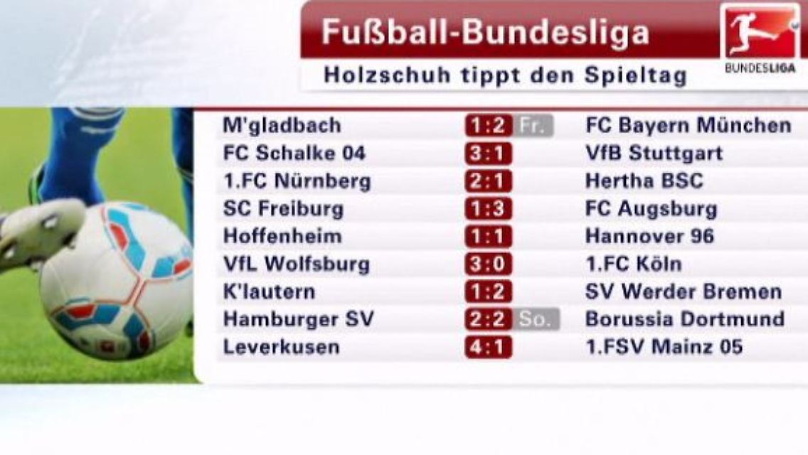 Holzschuh.JPG