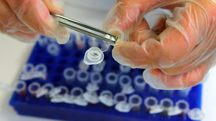 Geflügelproben werden auf das H5N1-Virus untersucht.