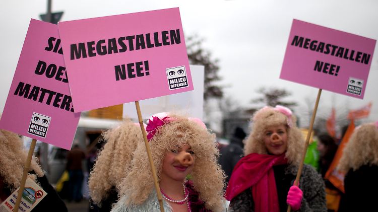 Die Proteste richten sich auch gegen die Massentierhaltung.
