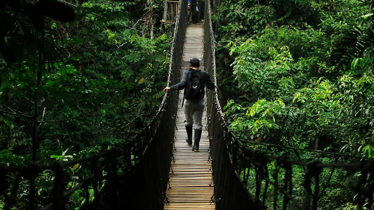 Junge Reisende wollen Abenteuer erleben, wie hier im peruanischen Regenwald.