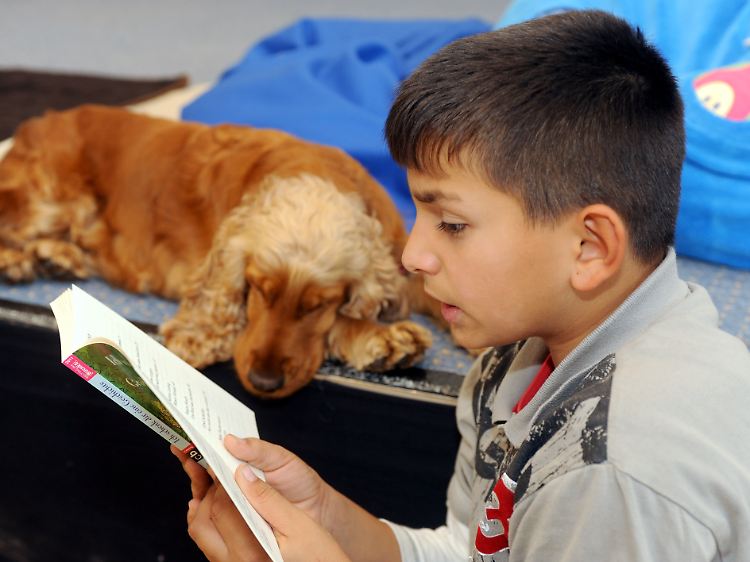 In Schulen werden leseschwache Kinder oft nicht entsprechend gefördert - auch, weil die Schwäche erst später erkannt wird.