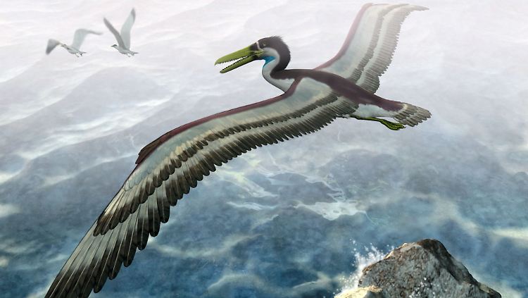 Auch wenn es diese Darstellung nahelegt: Ob der Archaeopteryx fliegen konnte, ist nicht erwiesen.
