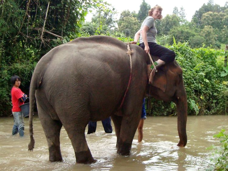 Die Reise-Branche hofft für das nächste Jahr auf Erholung.