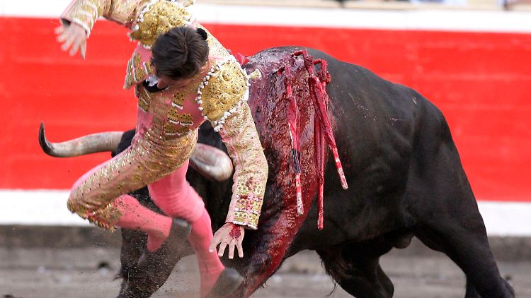 Wenn die Arbeitslosigkeit ein Stier wäre, würde Spanien derzeit von ihr auf die Hörner genommen und kräftig durchgeschüttelt.