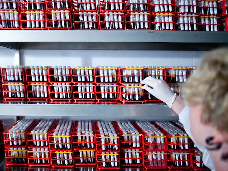 Fünf nationale Biomaterial- Datenbanken werden derzeit in Deutschland aufgebaut.