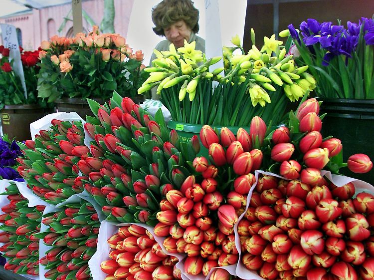 Man kann dem ganzen Rummel aber entfliehen - oder es ganz entspannt sehen und z.B. an Freunde Blumen verschenken.