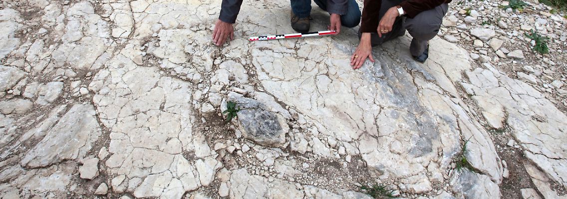 Die Hobby-Forscher suchten gezielt nach Dino-Spuren.