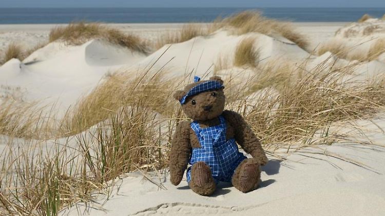Viele Erwachsene wollen im Urlaub nicht aufs Kuscheltier verzichten.