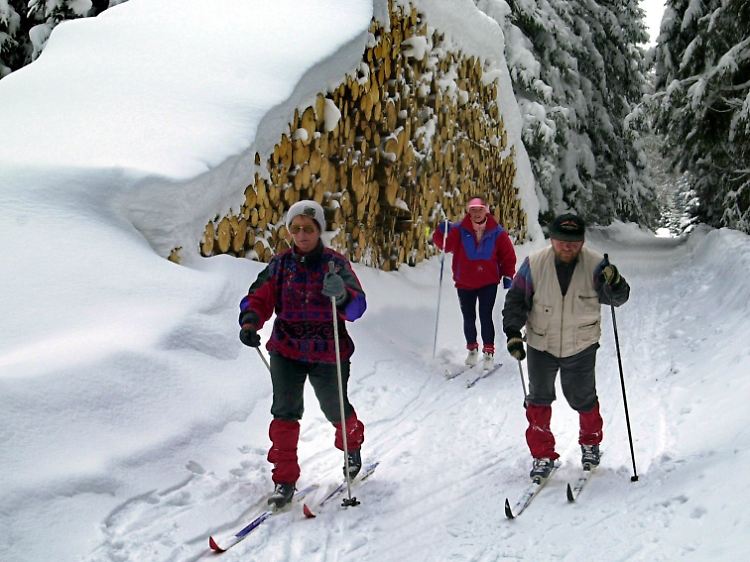 Die Wälder bieten im Erzgebirge auch Langlauf-Liebhabern ideale Strecken.