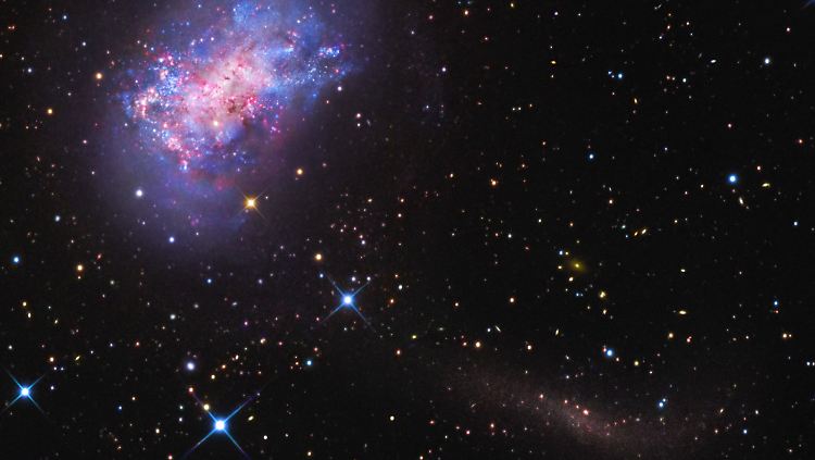 Die Zwerggalaxie NGC 4449 (oben links) und die noch kleinere Galaxie, die dabei ist, von ihr verschlungen zu werden (unten rechts).