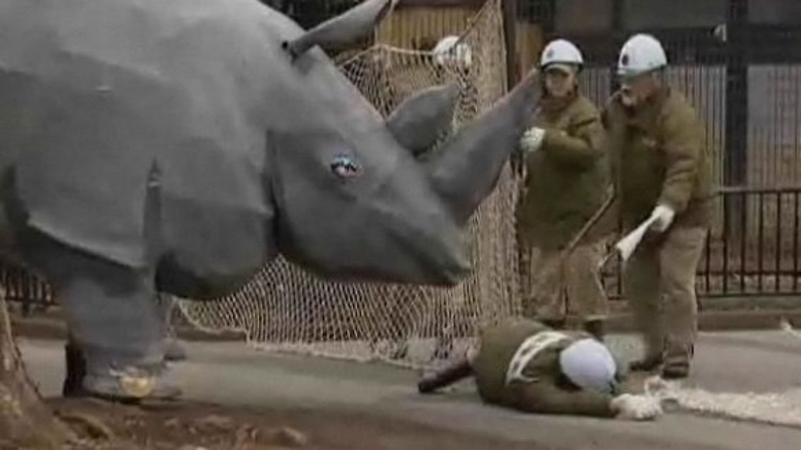 Nashorn.JPG