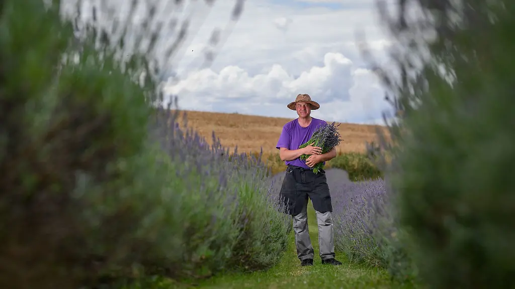 Beim-Erntefest-duerfen-Besucher-mithelfen