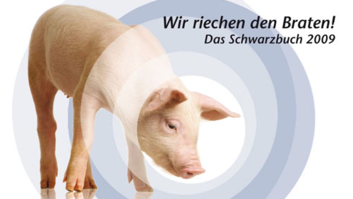 Die Verschwendung von Steuergeldern zeigt sich also in den verschiedensten Formen: Bei Fehlplanungen und Kostenexplosionen, bei Reisen und Empfängen auf Steuerzahlerkosten oder in der Gedanken- und Planlosigkeit beim Umgang mit den Steuergeldern der Bürger.