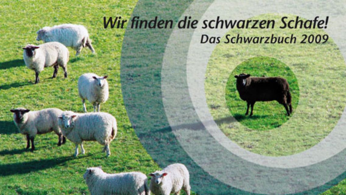 schaf.jpg