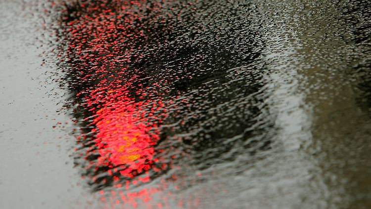 regen.jpg
