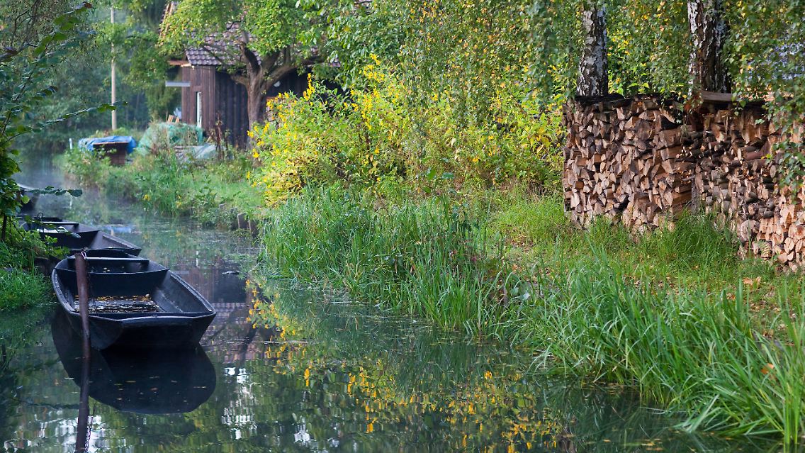 Romantische Bootstouren durch den Spreewald: Fallen sie dem Klimawandel zum Opfer?