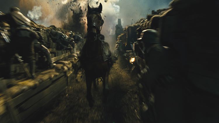 Fulminante Bilder à la Spielberg: Pferd Joey im Film "Gefährten".