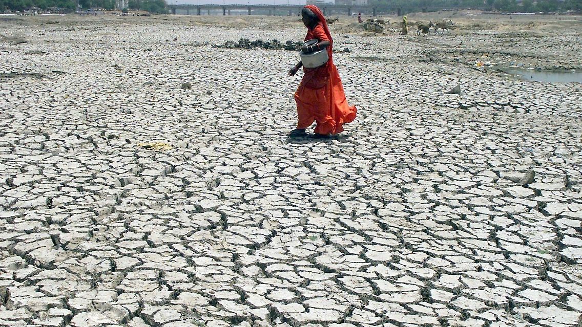 Um Wasser zu holen, überquert eine Inderin in Ahmedabad das ausgetrocknete Flußbett des Sabarmati.