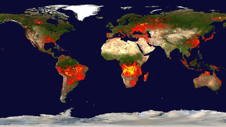 Für die Studie werteten die Wissenschaftler Satellitendaten- und -bilder aus. Im Bild: Waldbrände im Sommer 2010. 