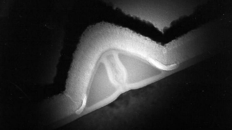 Schon 2003 wurde ein fünf Nanometer kleiner Transistor entwickelt (hier im Bild). Der neueste jedoch soll "perfekt" sein.