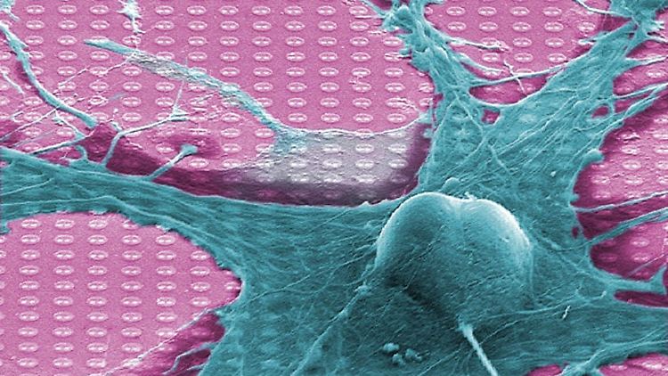 Nervenzellen und Computerchips: Die Signalübertragung ist komplizierter, als man gedacht hatte.